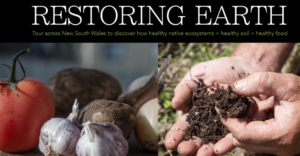 Blue Bottle Films Restoring Earth